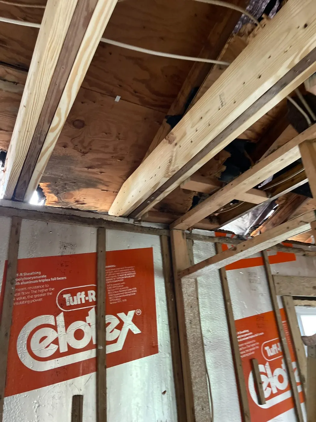 Ceiling demolition with joists exposed for drying