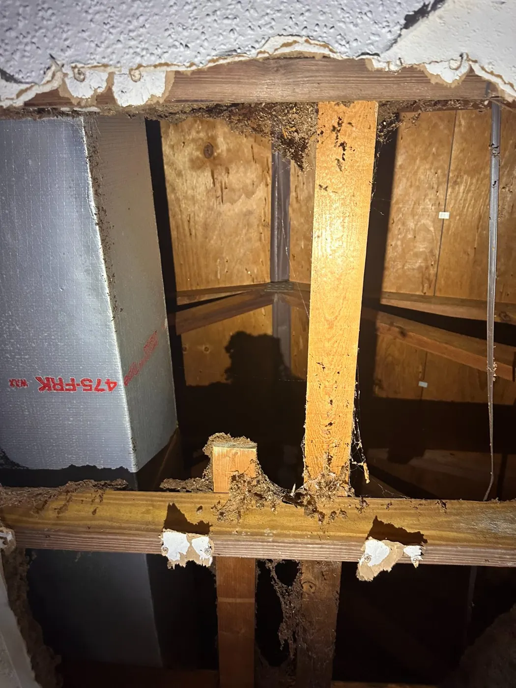 Ceiling torn out to the joists during water mitigation