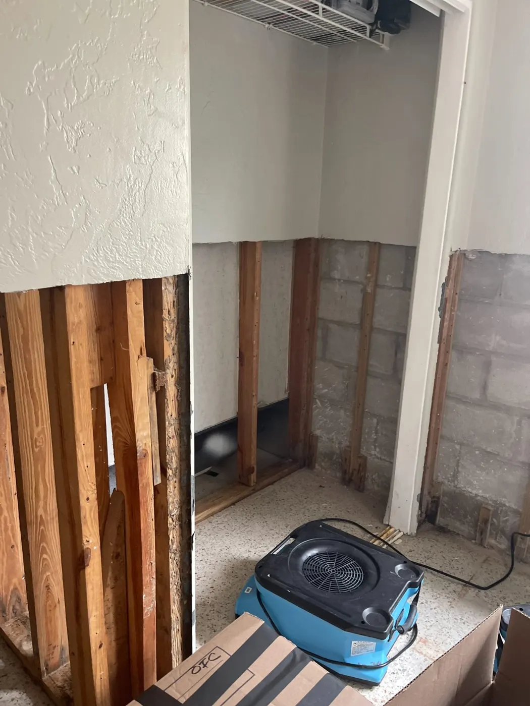 Air mover drying exposed studs after a flood cut