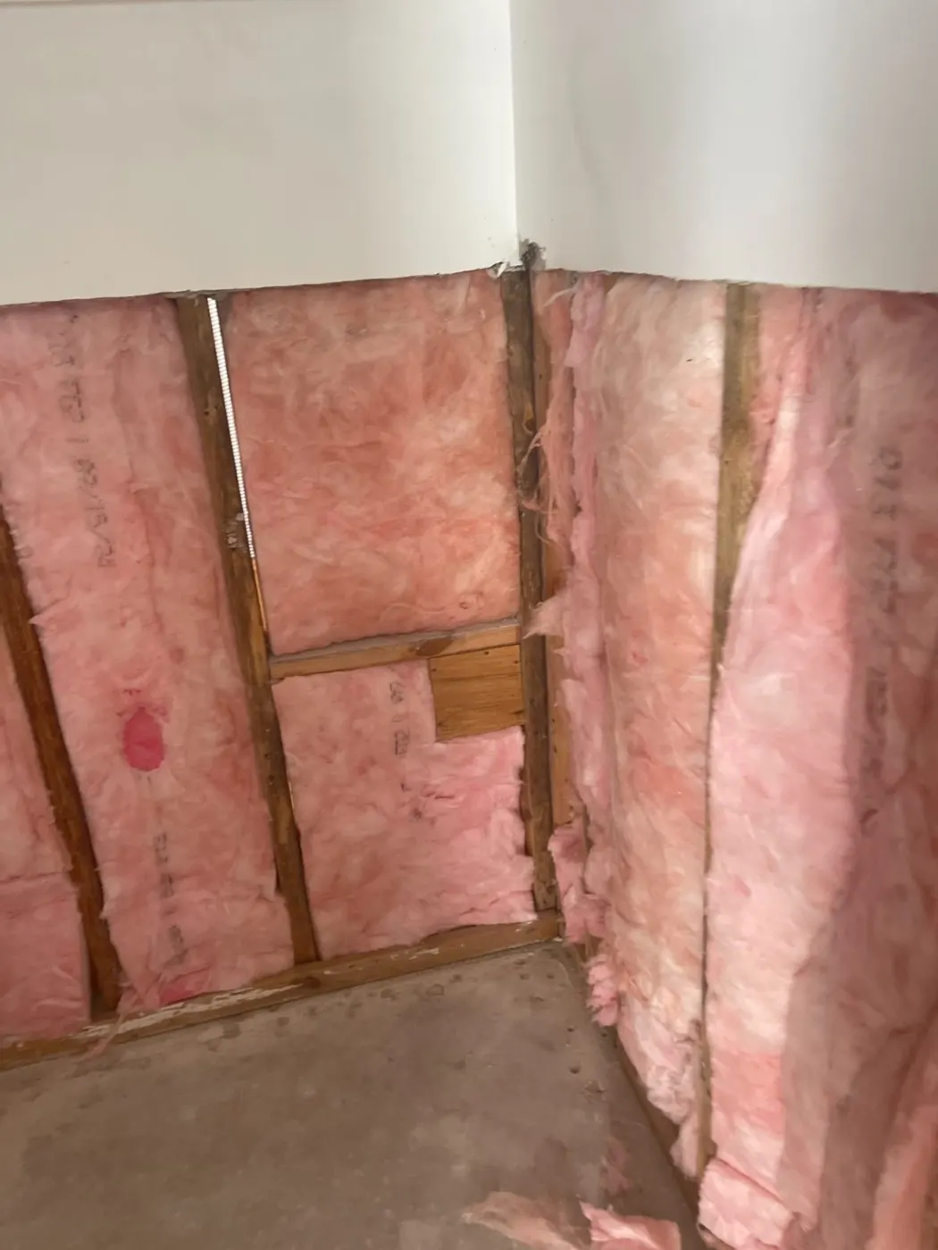 Clean flood cut exposing studs and insulation behind removed drywall