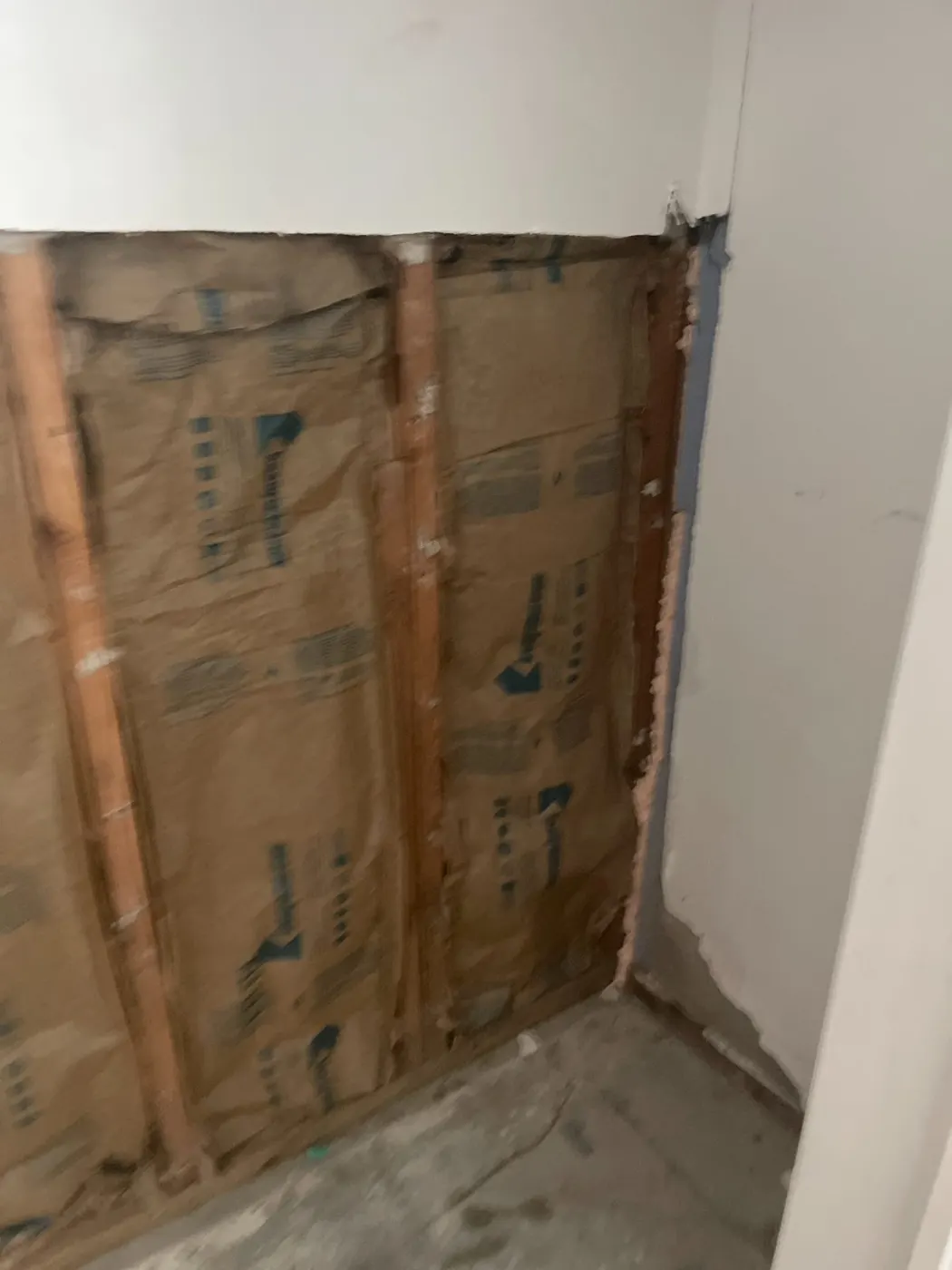 Flood cut with wet drywall removed and studs exposed