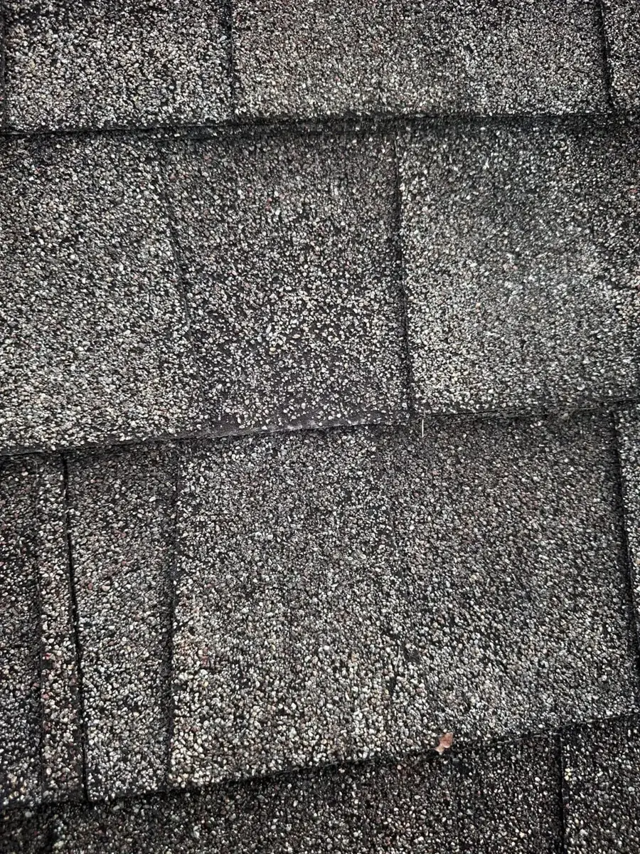Close-up of storm-bruised asphalt shingles with granule loss