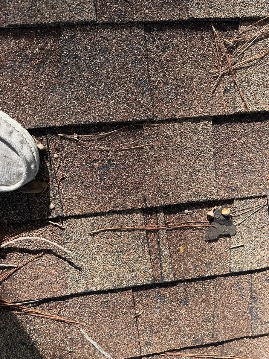 Torn shingle tabs and exposed nails from hurricane wind