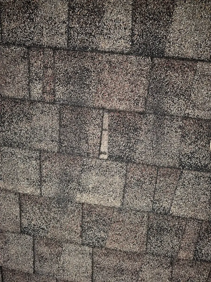 Wind-creased and lifted asphalt shingles after a hurricane