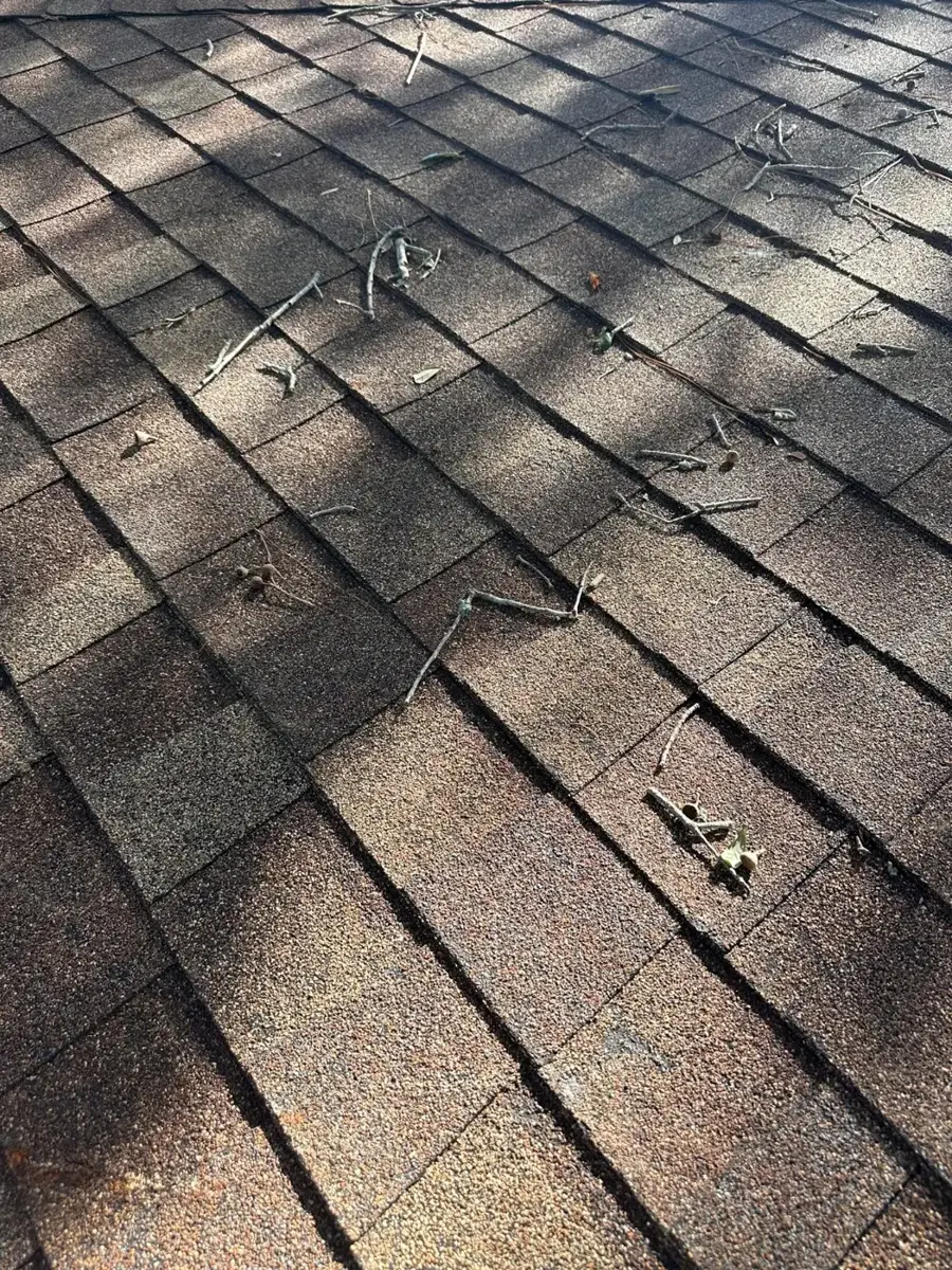 Field of shingles with scattered wind damage and debris